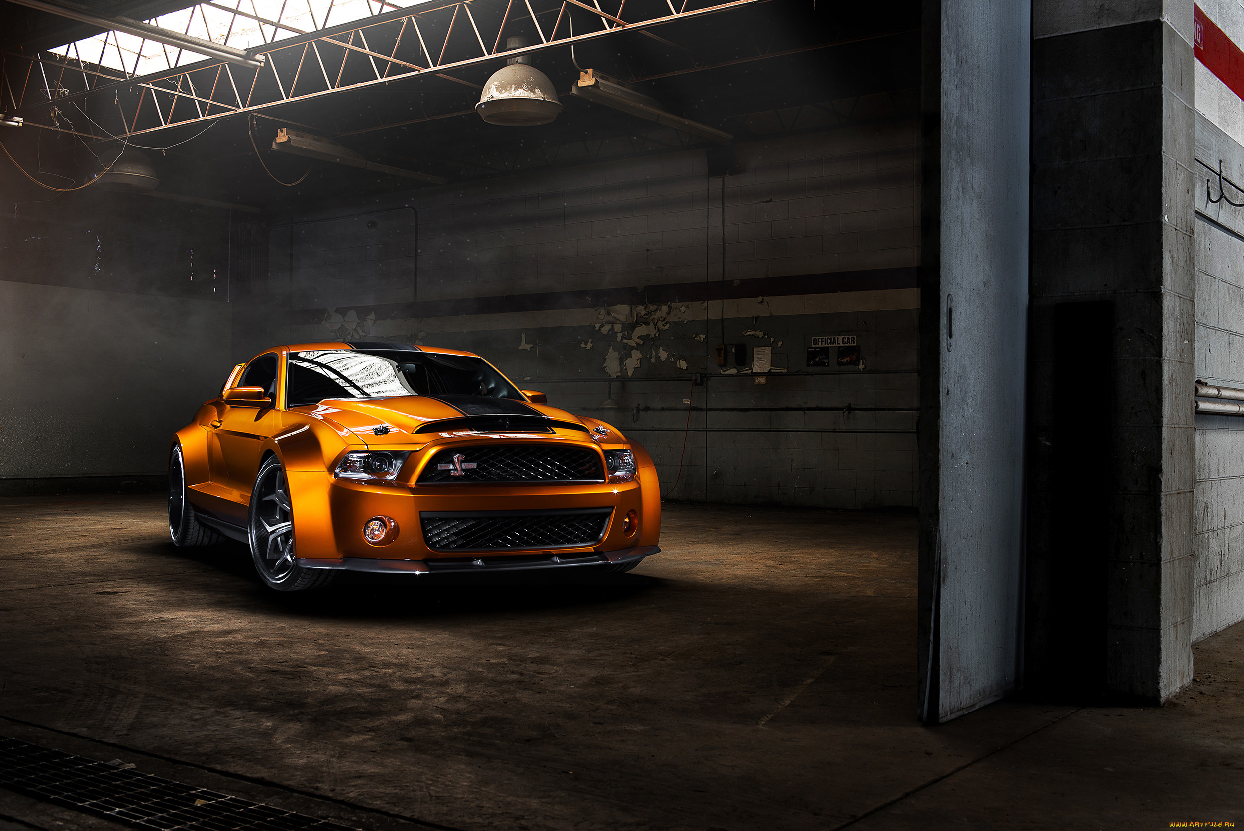, mustang
